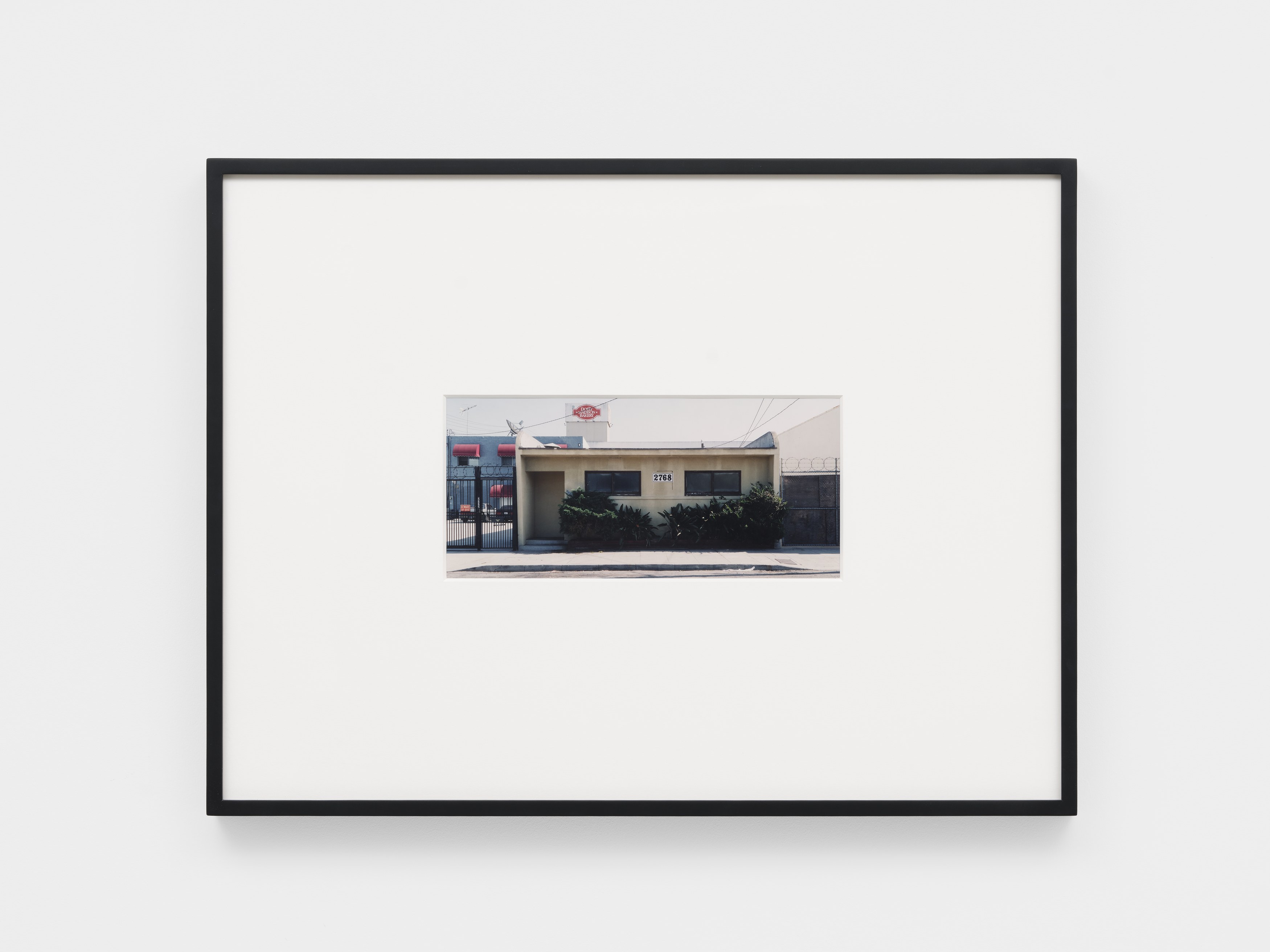 Dean Sameshima, Wonderland at Soft Opening, photo 25