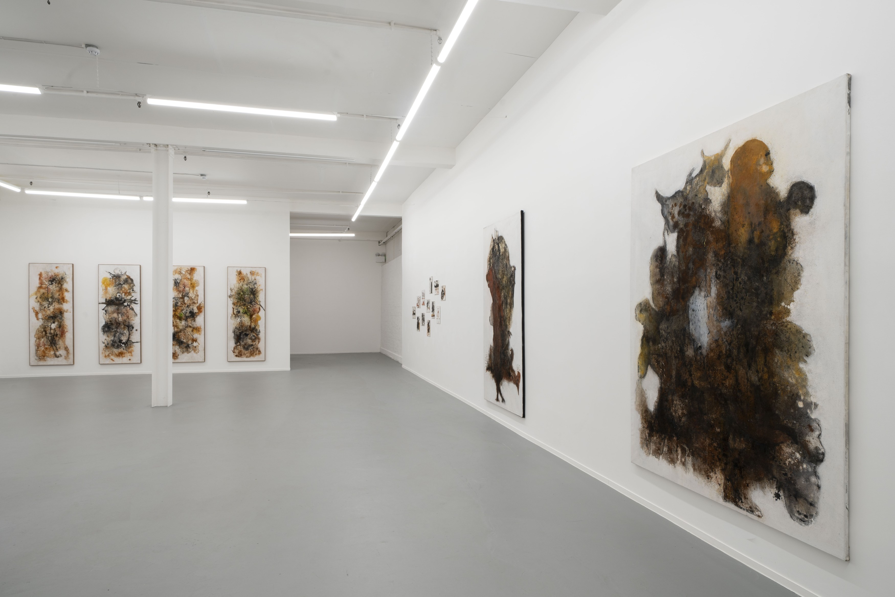 Aliou Diack, Into The Foetus at Project Loop, photo 7
