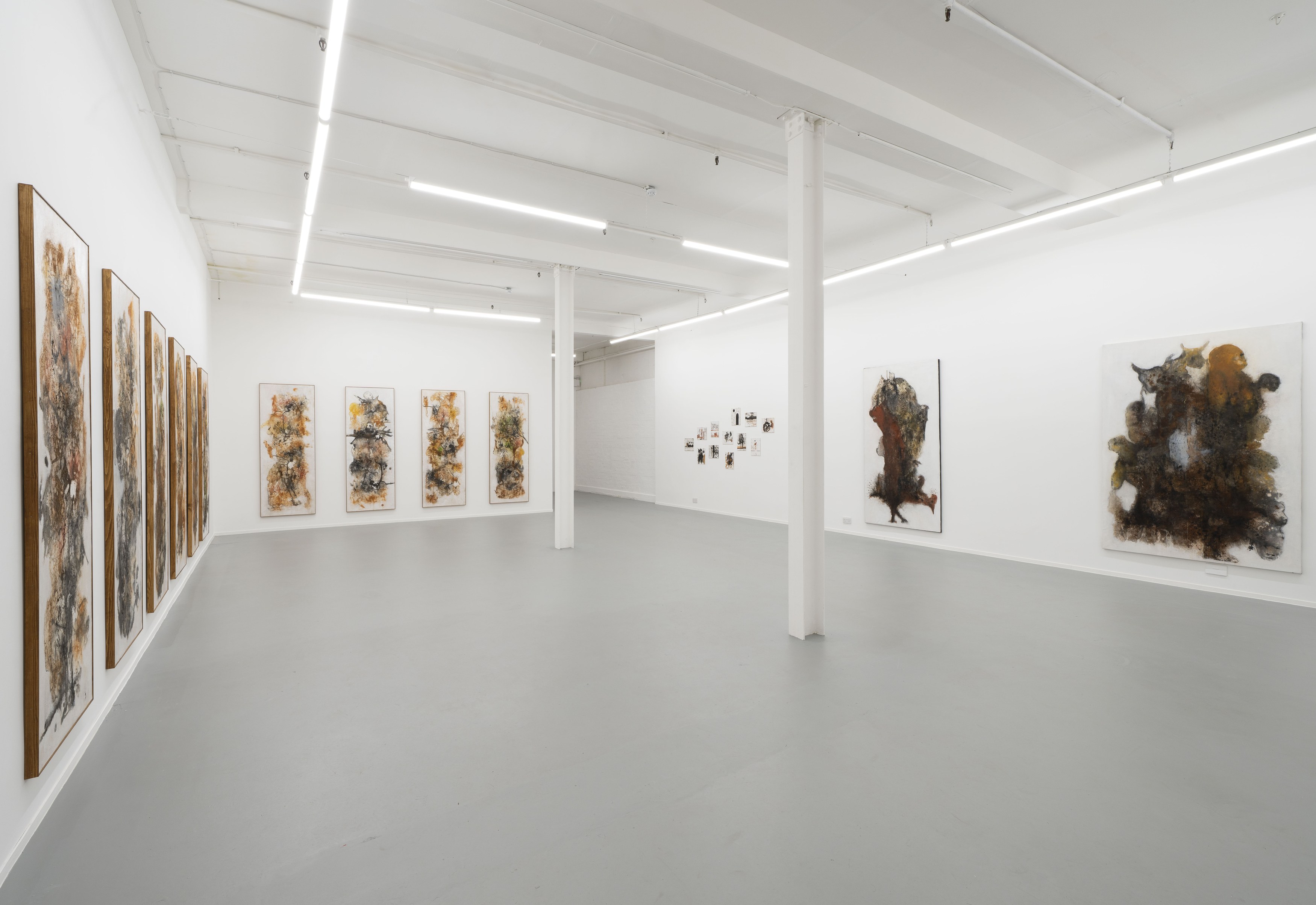 Aliou Diack, Into The Foetus at Project Loop, photo 13
