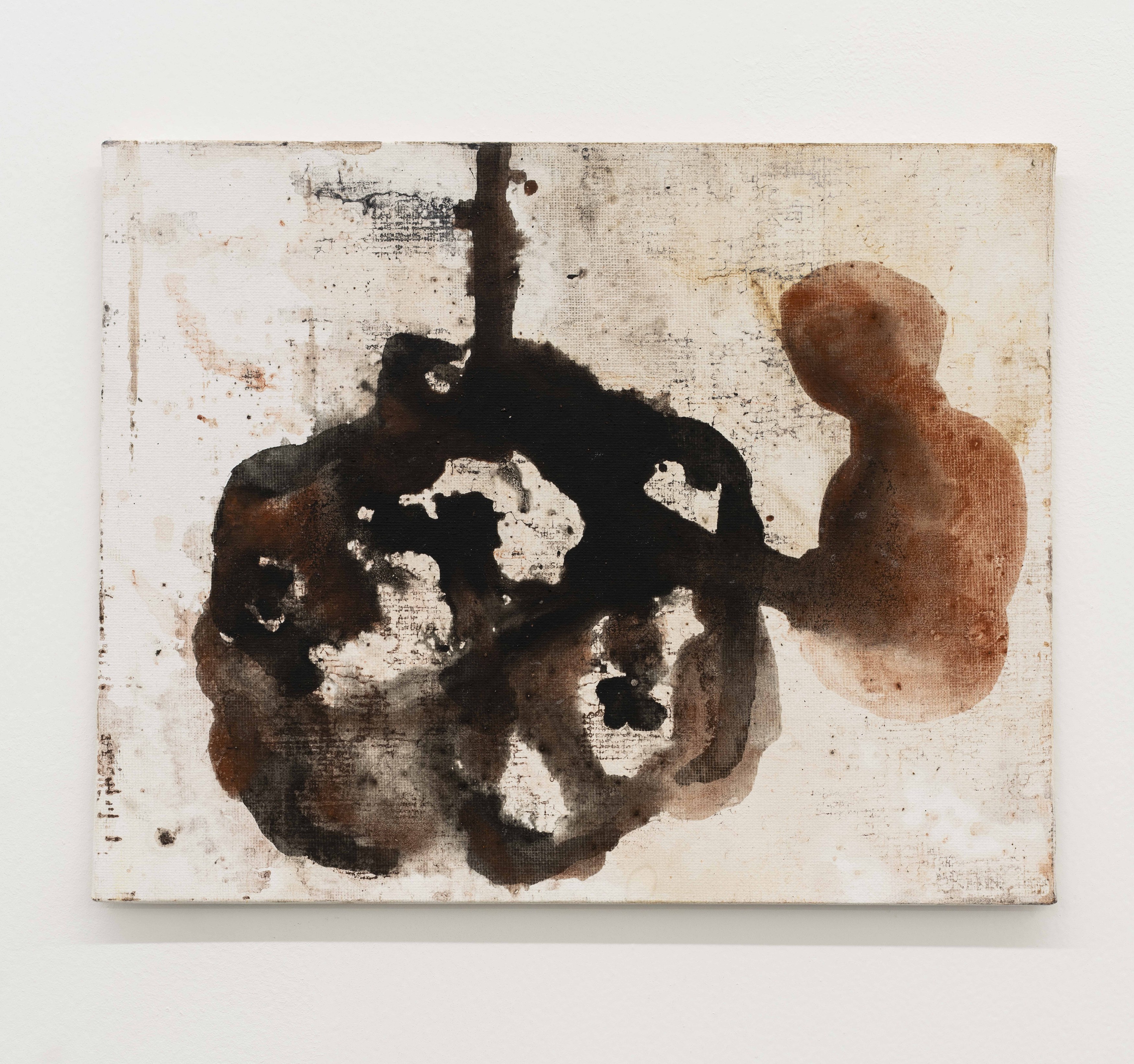 Aliou Diack, Into The Foetus at Project Loop, photo 15