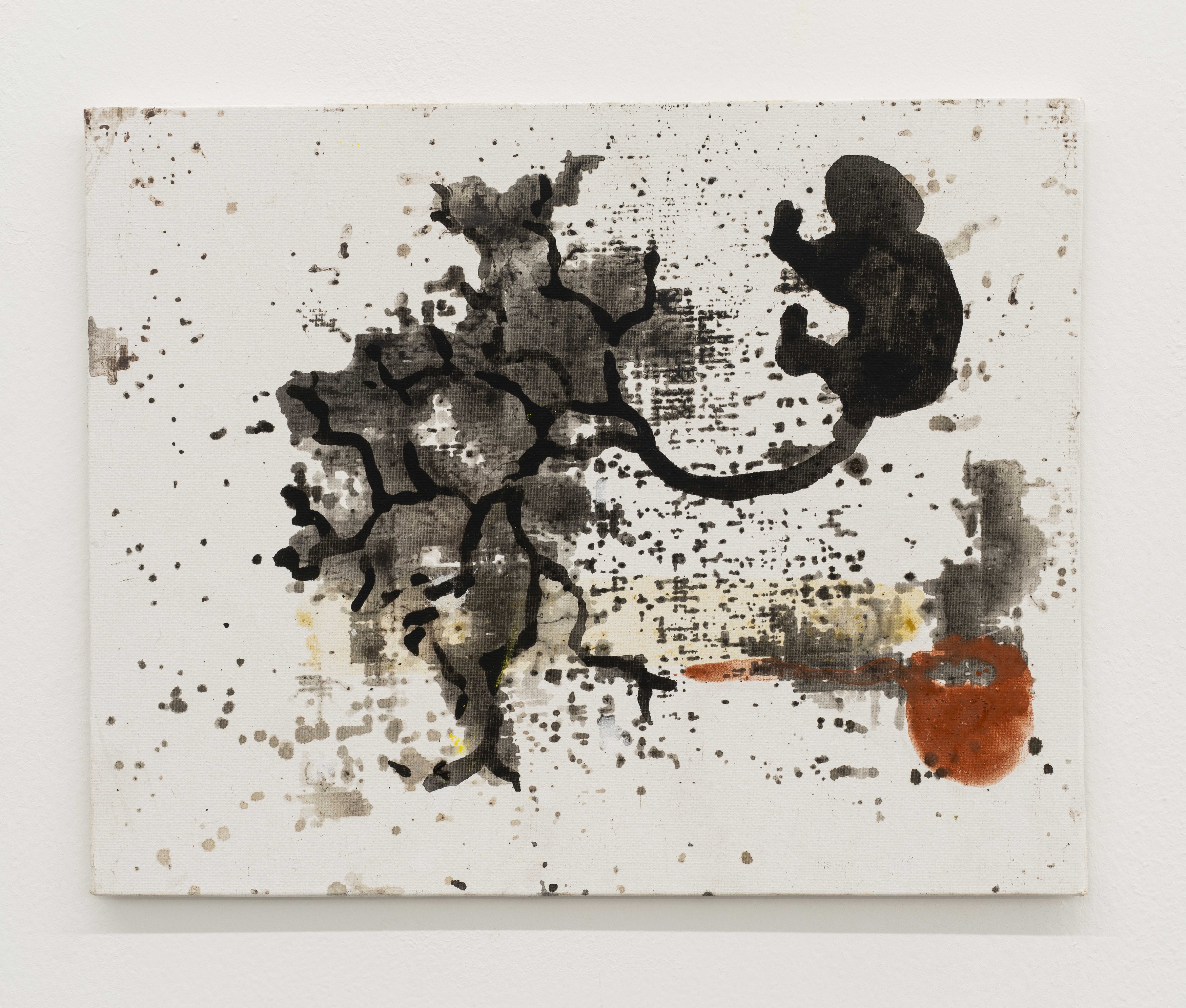 Aliou Diack, Into The Foetus at Project Loop, photo 21