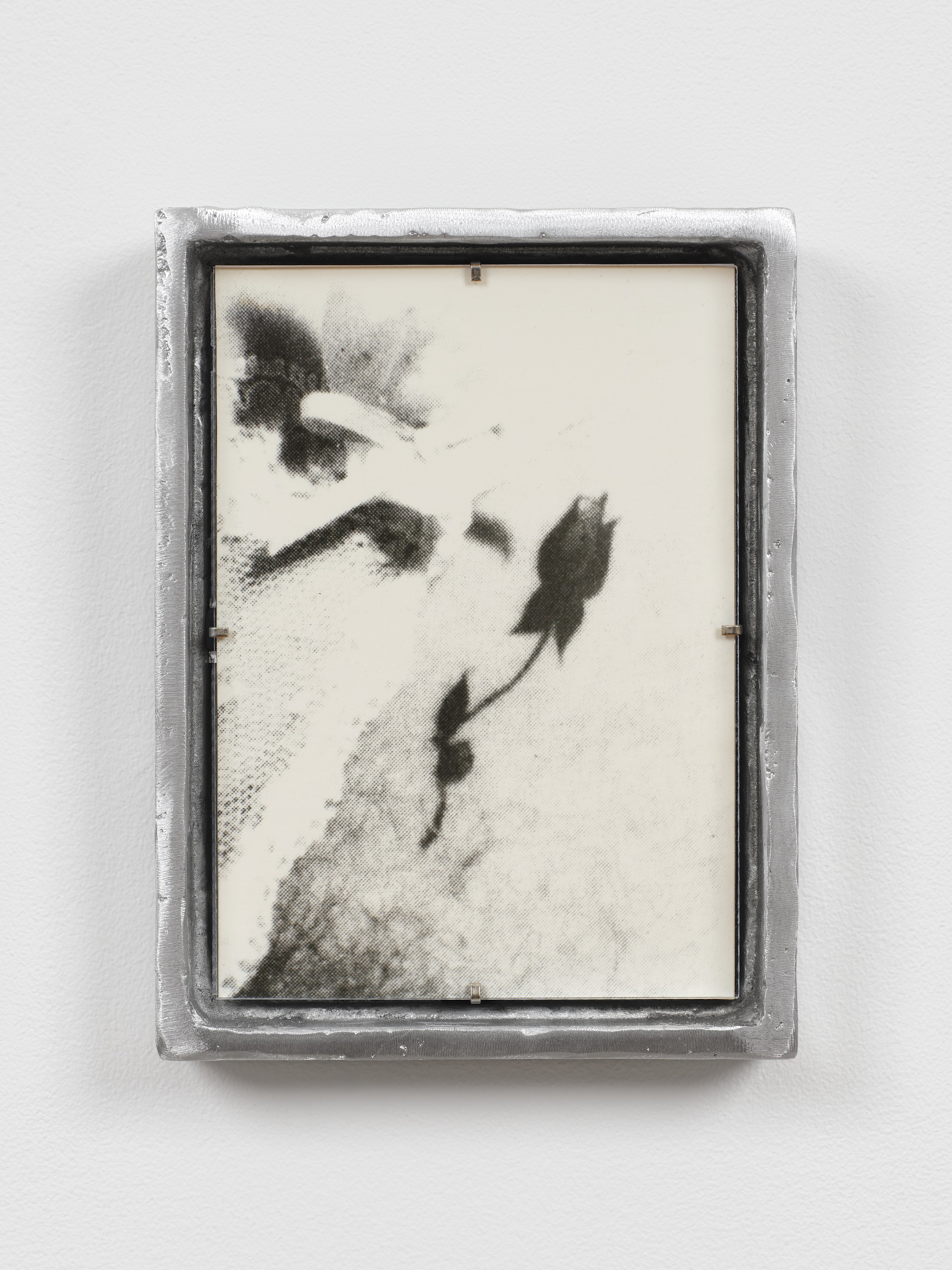 Peggy Chiang, Marina Grize, Veronika Pausova, Hard to Imagine at Margot Samel, photo 9