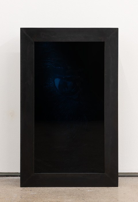 Peggy Chiang, Marina Grize, Veronika Pausova, Hard to Imagine at Margot Samel, photo 15