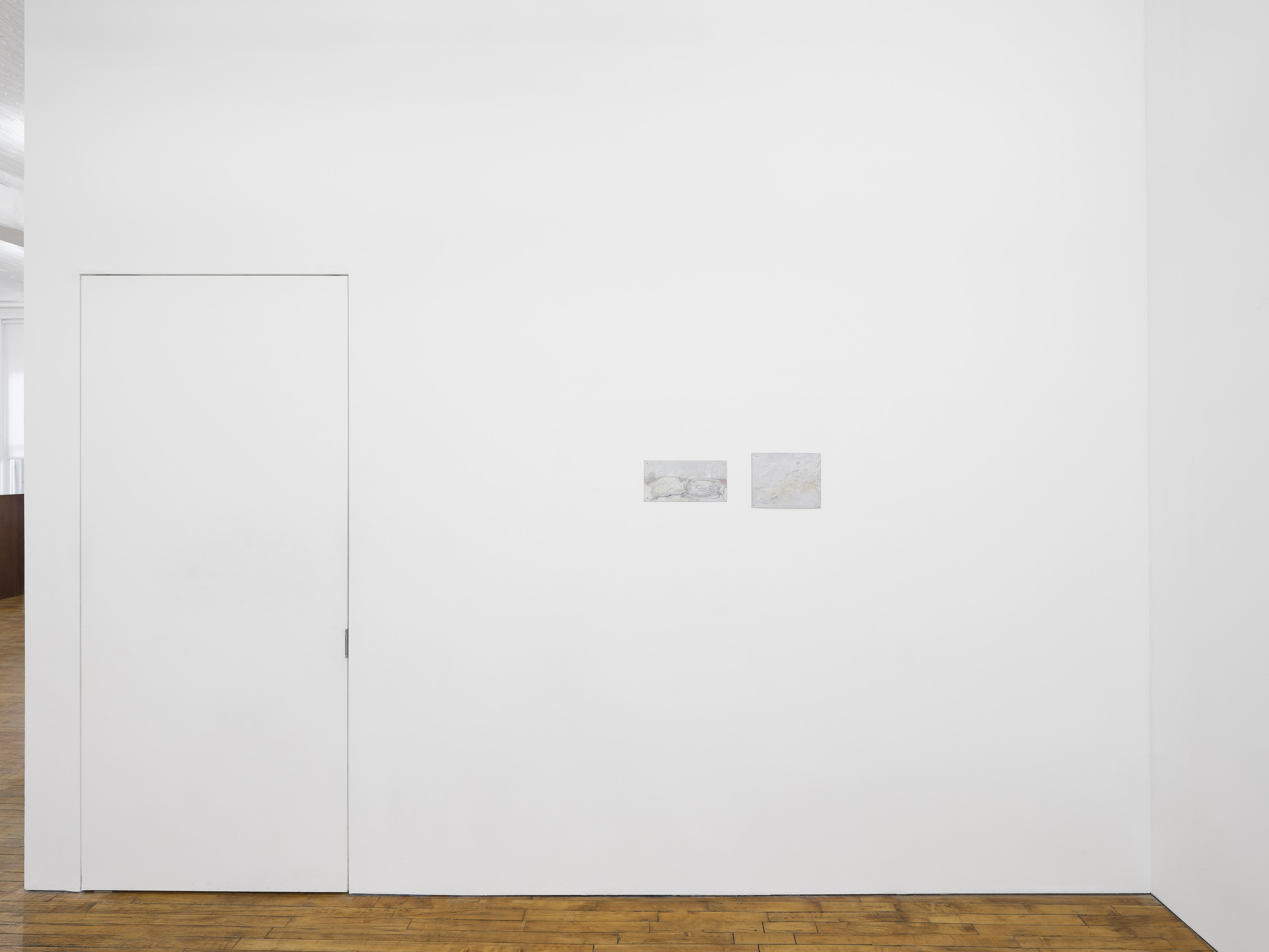 Rare Aesthetics, Rare Aesthetics at Tara Downs, photo 4