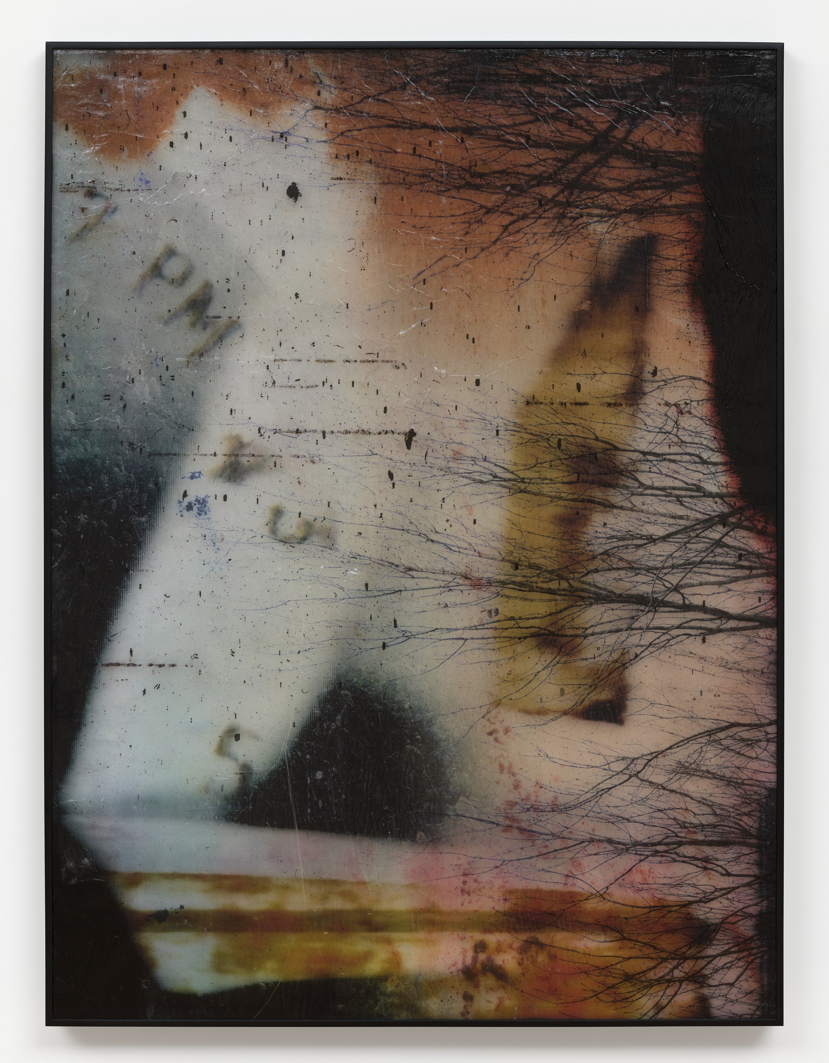 Rare Aesthetics, Rare Aesthetics at Tara Downs, photo 8