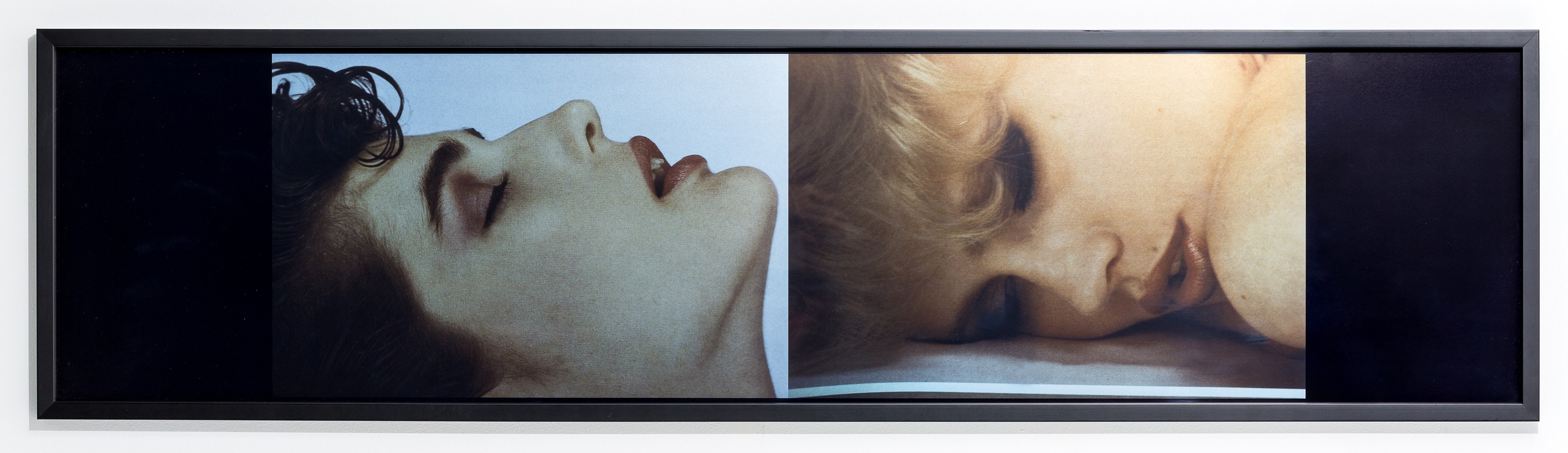Rare Aesthetics, Rare Aesthetics at Tara Downs, photo 12