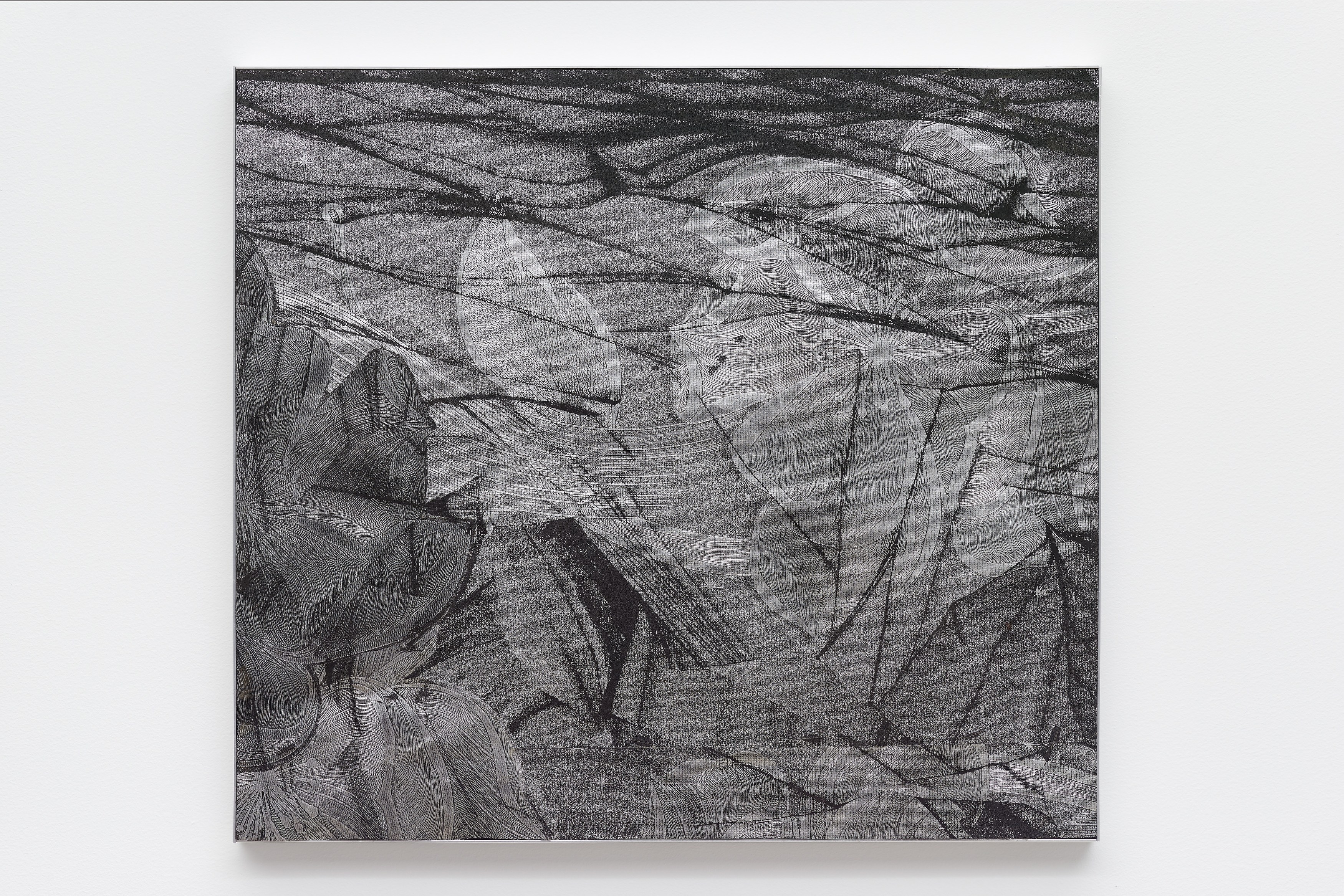 Rare Aesthetics, Rare Aesthetics at Tara Downs, photo 24