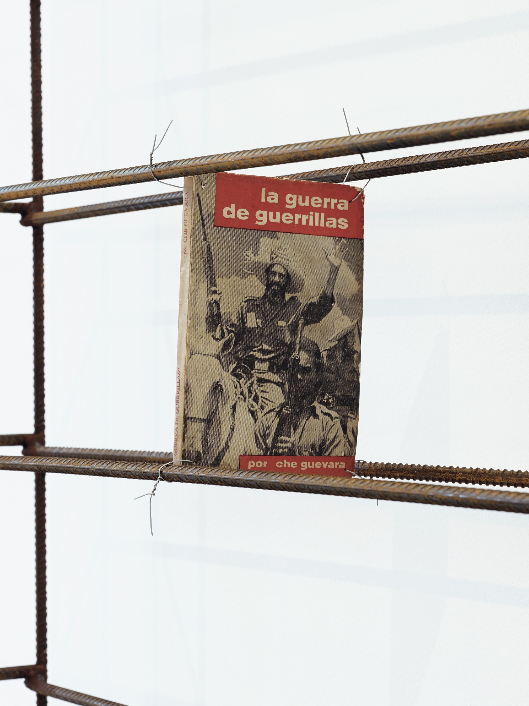 The Feverish Library (continued), The Feverish Library (continued) at Capitain Petzel, photo 11