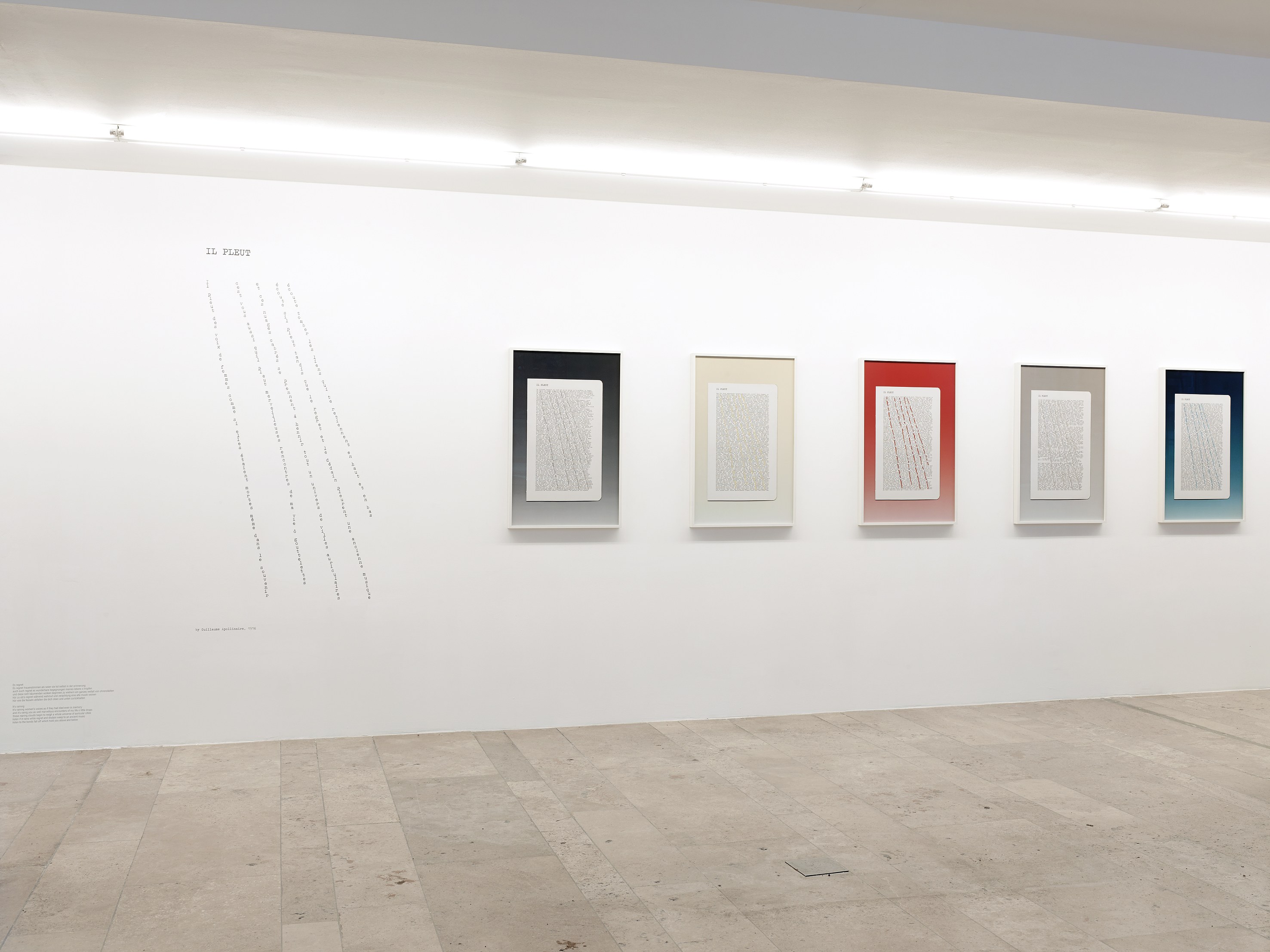 The Feverish Library (continued), The Feverish Library (continued) at Capitain Petzel, photo 17