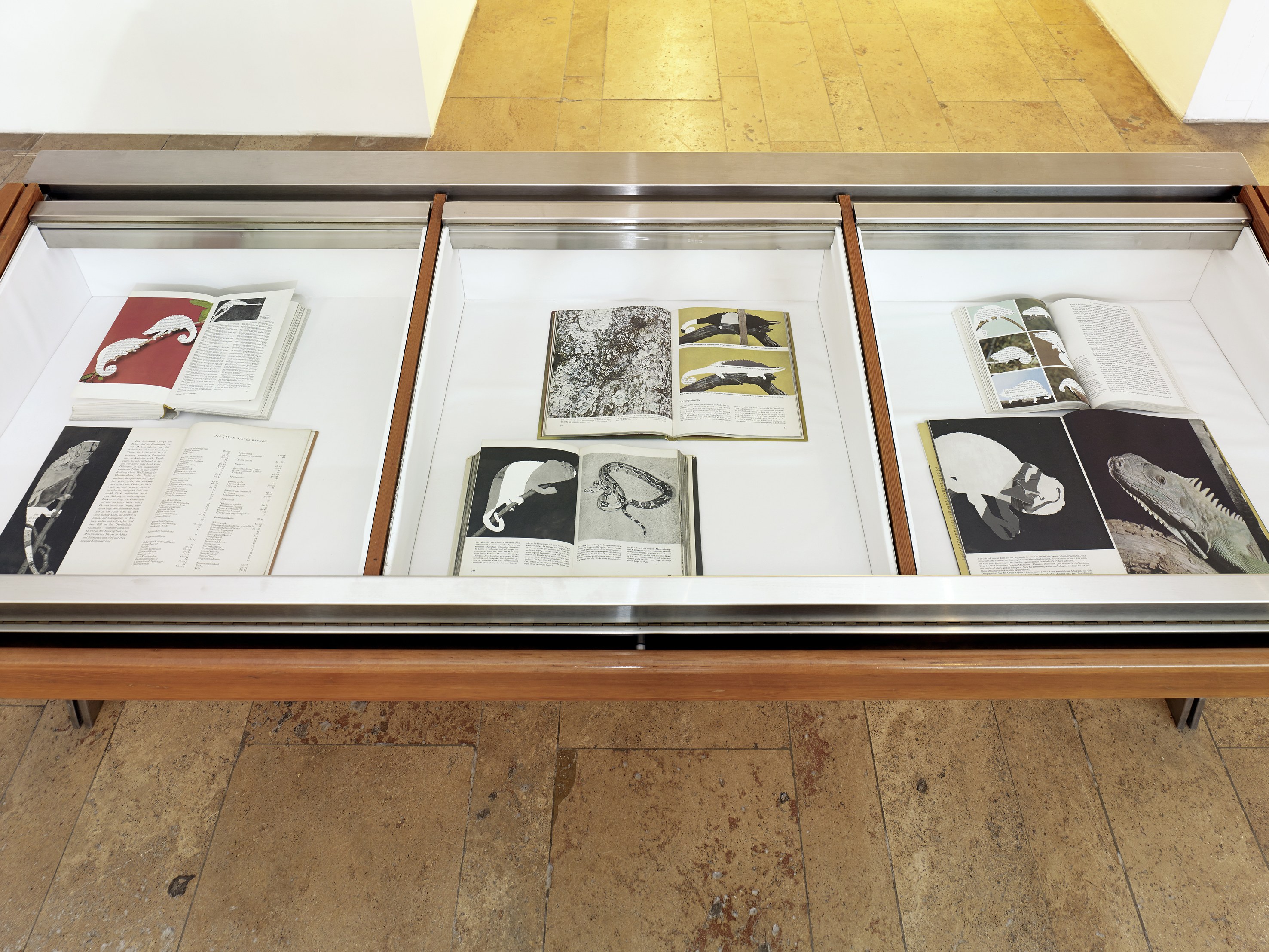 The Feverish Library (continued), The Feverish Library (continued) at Capitain Petzel, photo 18