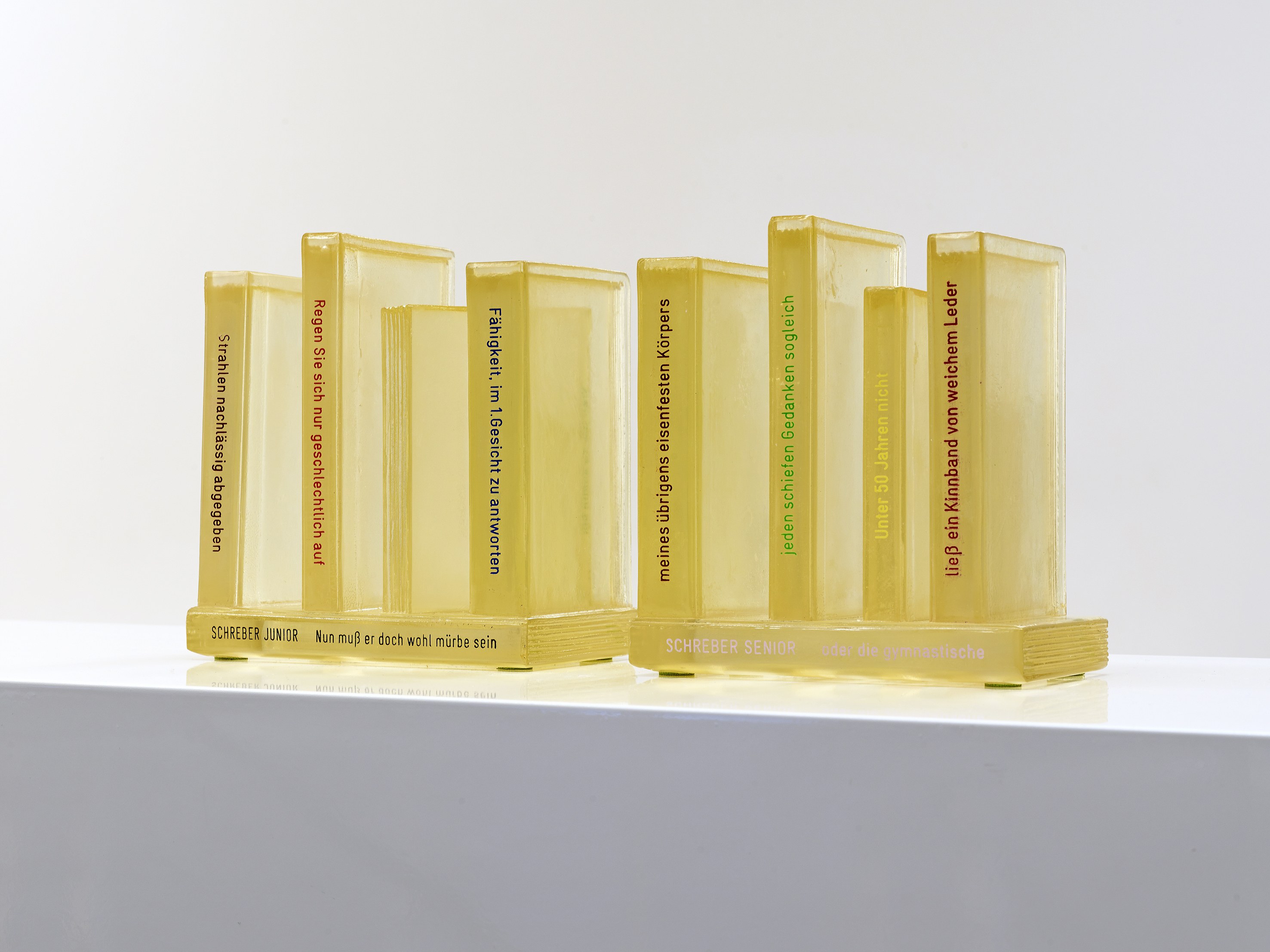 The Feverish Library (continued), The Feverish Library (continued) at Capitain Petzel, photo 20