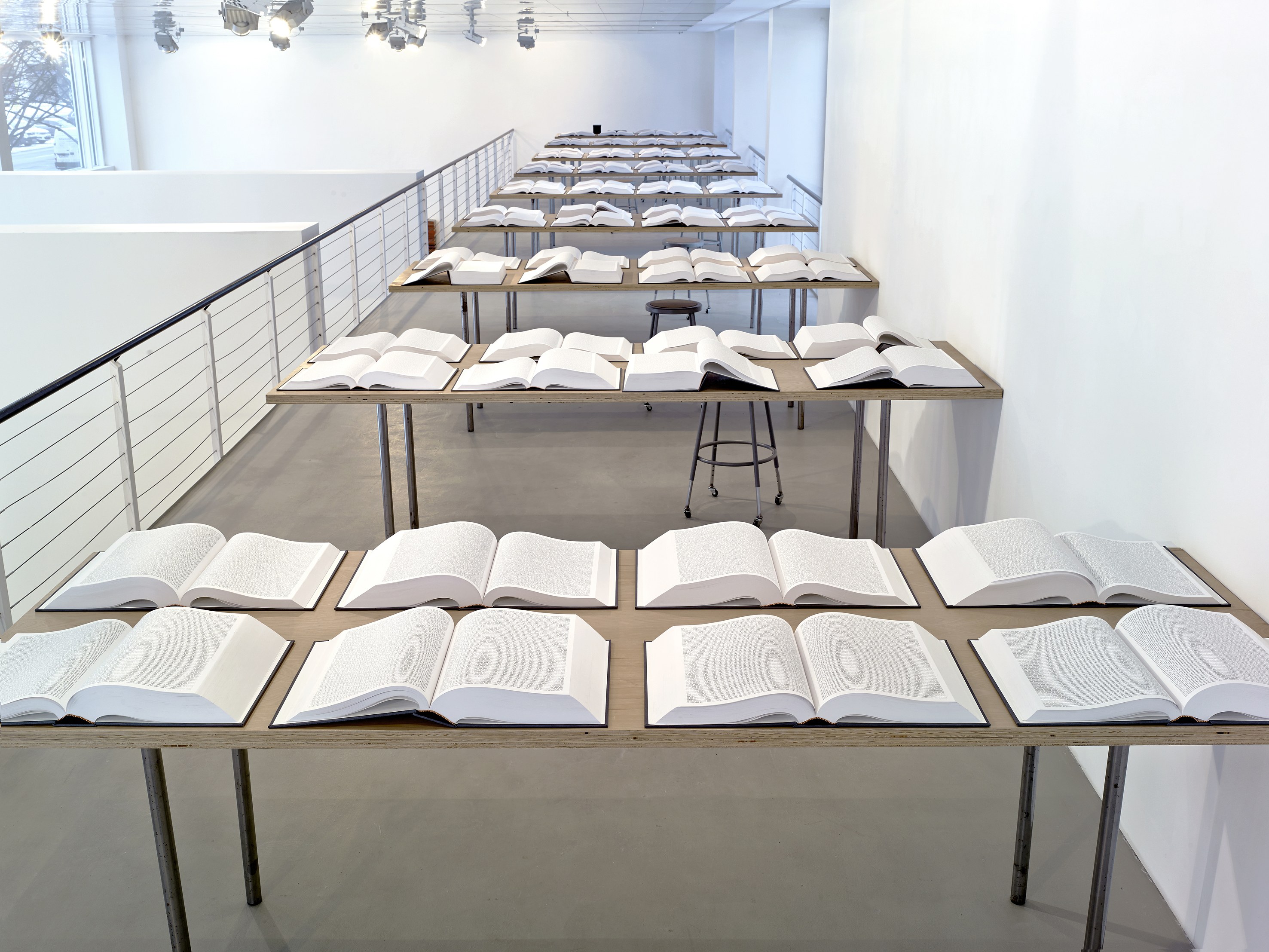 The Feverish Library (continued), The Feverish Library (continued) at Capitain Petzel, photo 22