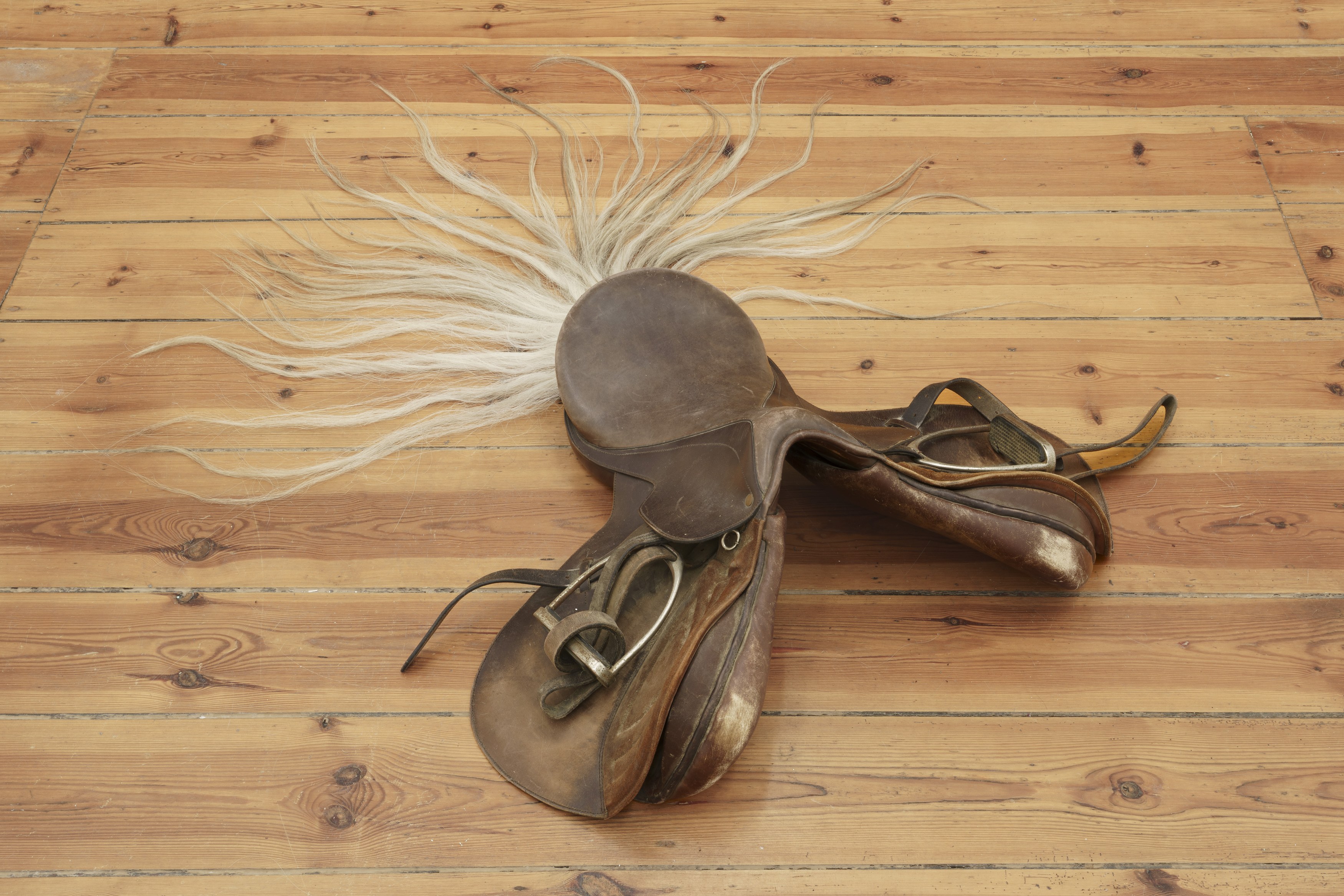 Mara Jenny, Ponytail at Hours, photo 3