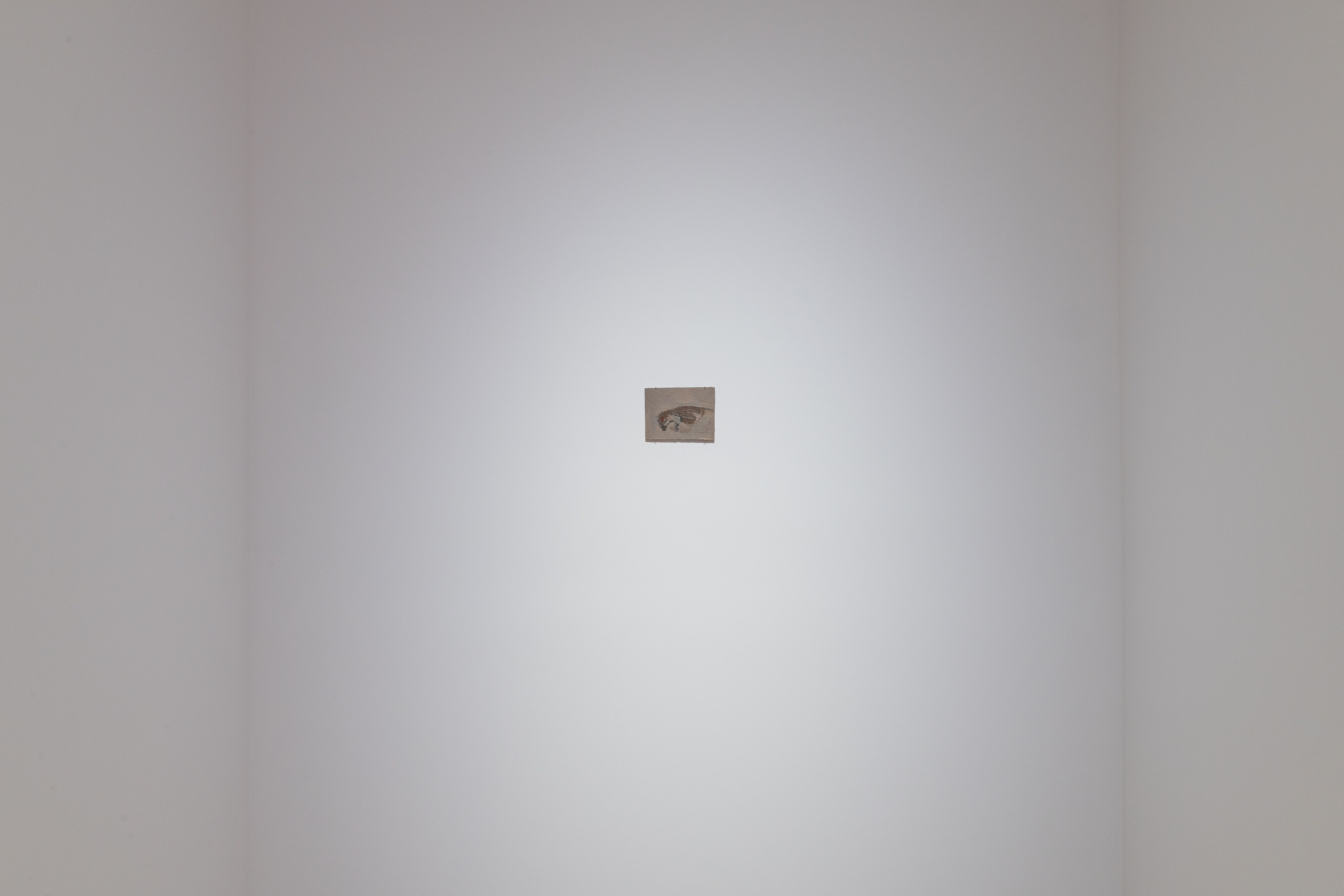 Merve Ceylan, Miranda Fengyuan Zhang, image 2 of 53