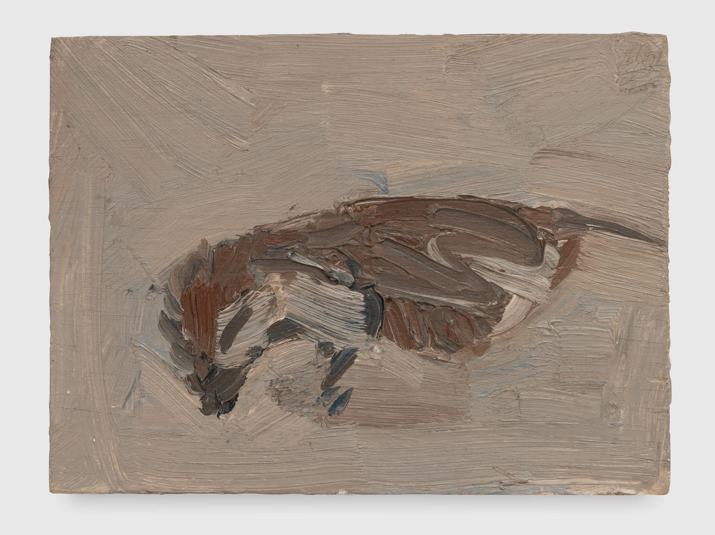 Merve Ceylan, Miranda Fengyuan Zhang, image 50 of 53