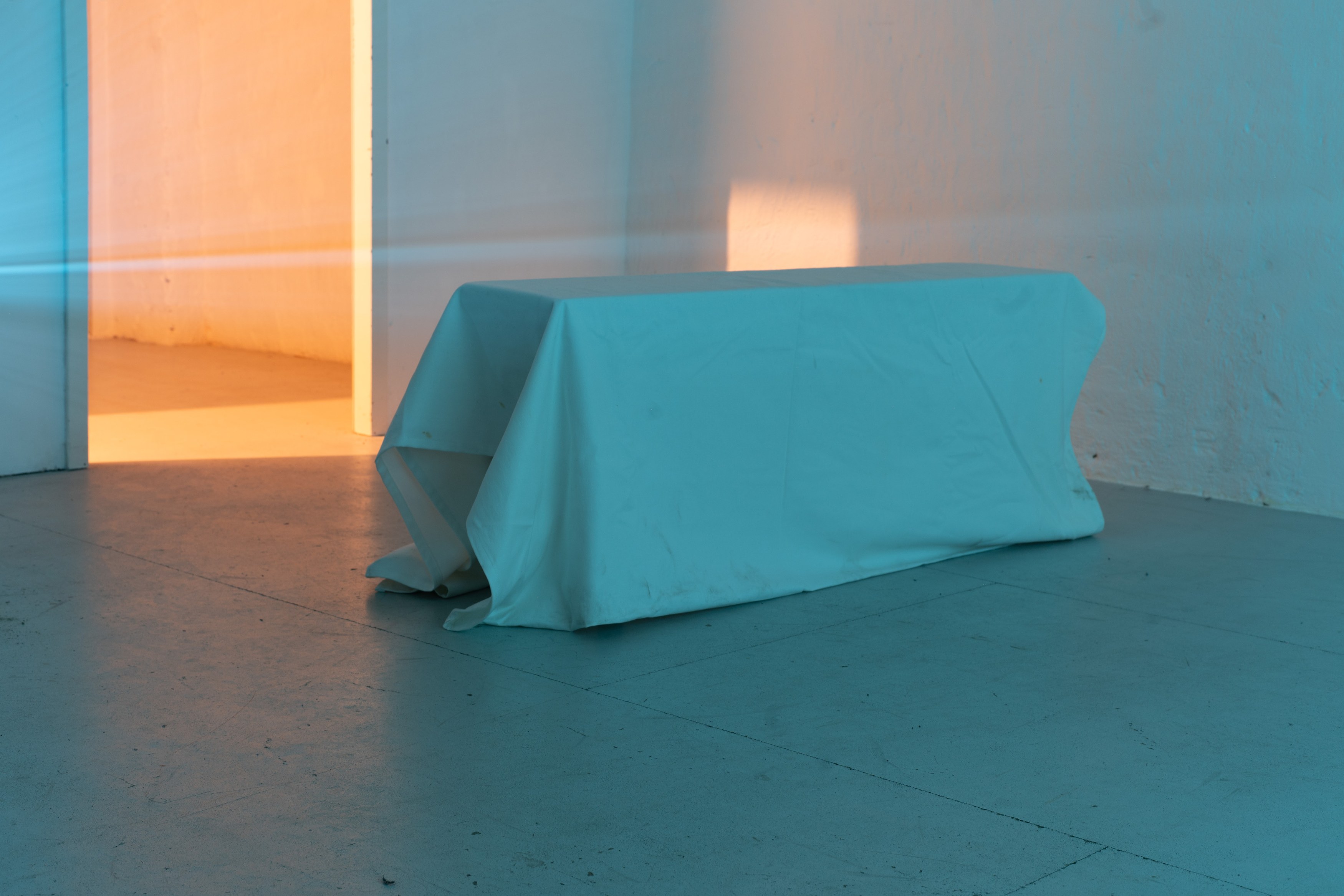 Andrey Bogush, wrong museum / wrong: horse at Shahin Zarinbal, photo 4