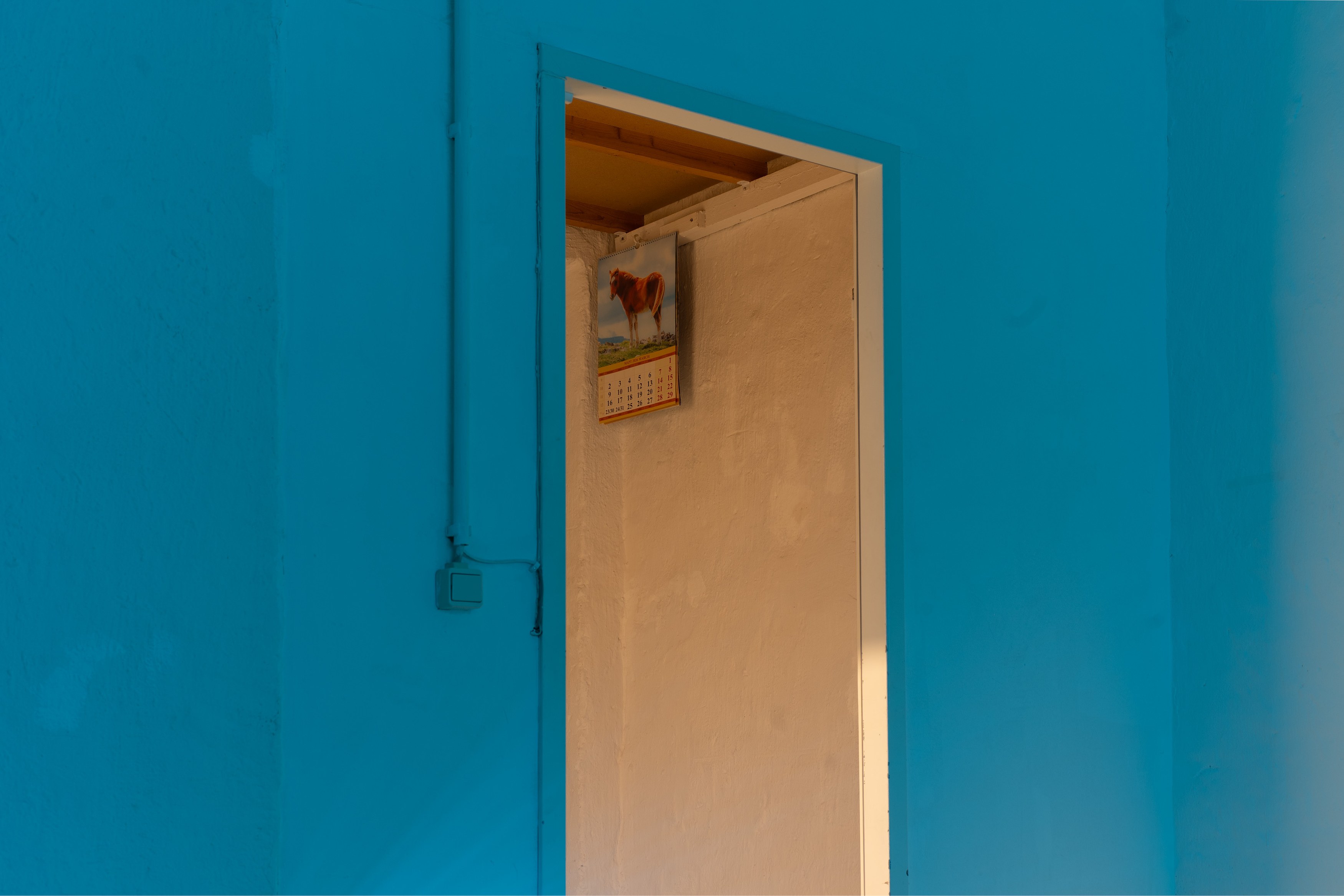 Andrey Bogush, wrong museum / wrong: horse at Shahin Zarinbal, photo 5