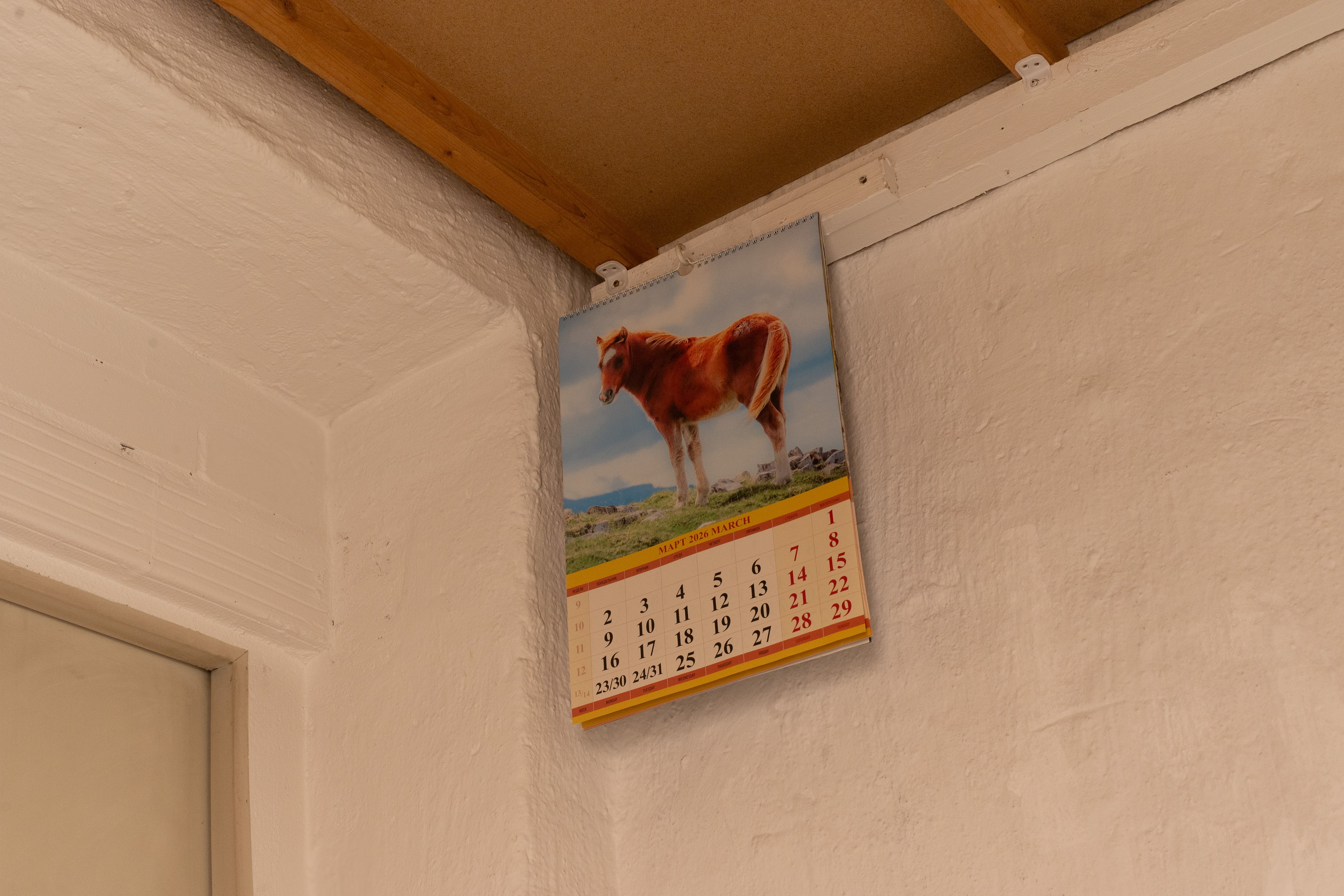 Andrey Bogush, wrong museum / wrong: horse at Shahin Zarinbal, photo 6