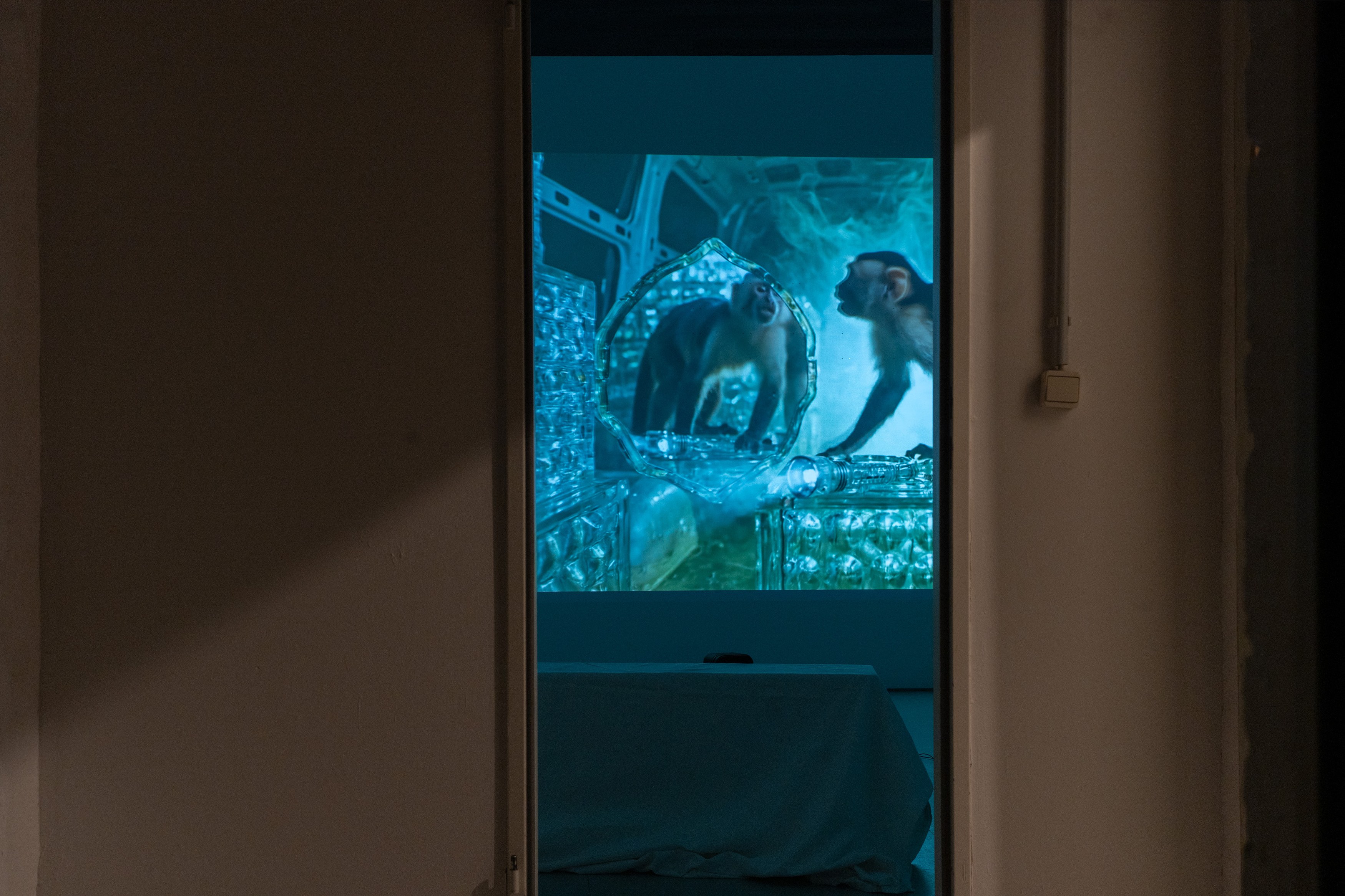 Andrey Bogush, wrong museum / wrong: horse at Shahin Zarinbal, photo 7