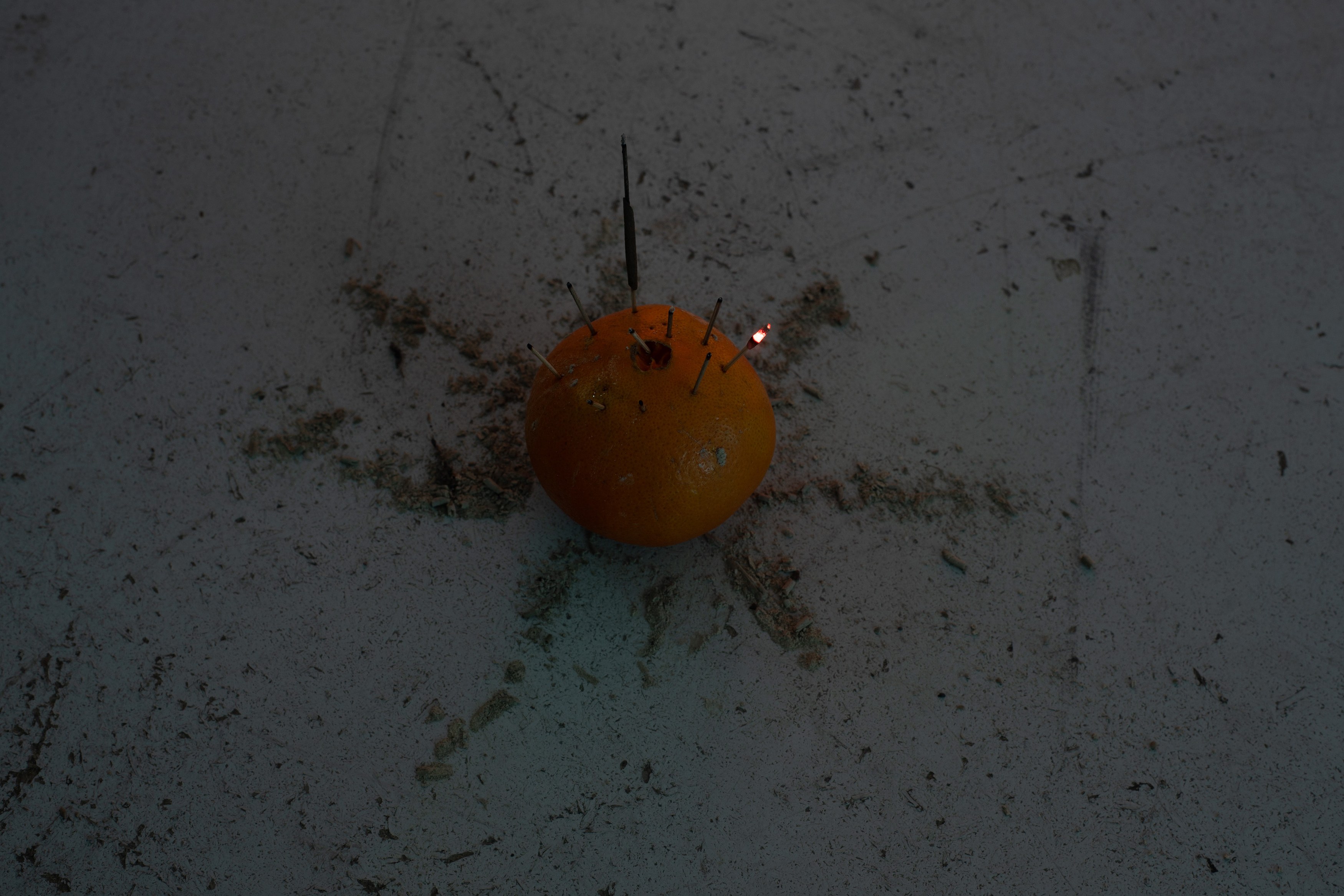 Andrey Bogush, wrong museum / wrong: horse at Shahin Zarinbal, photo 14