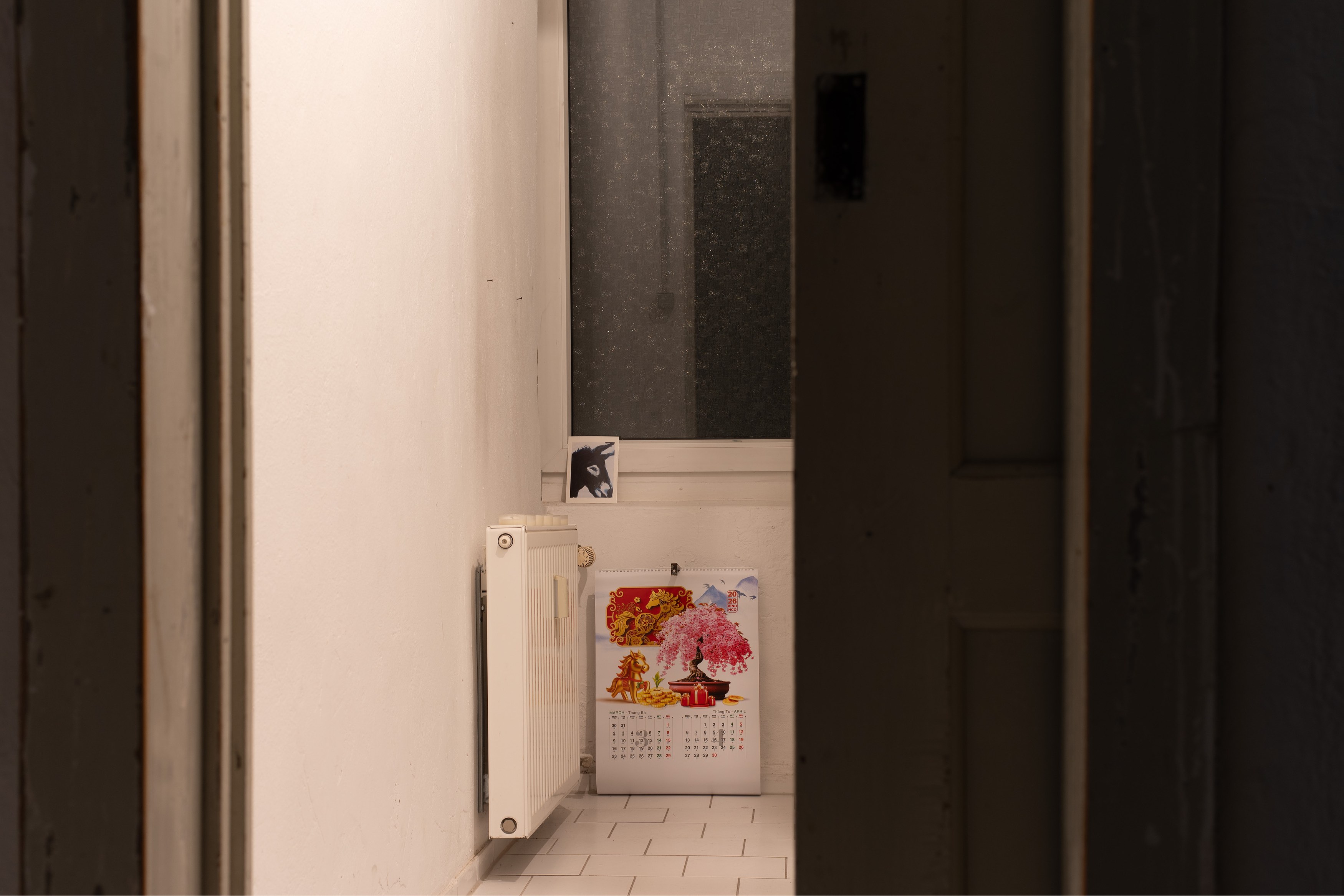 Andrey Bogush, wrong museum / wrong: horse at Shahin Zarinbal, photo 19