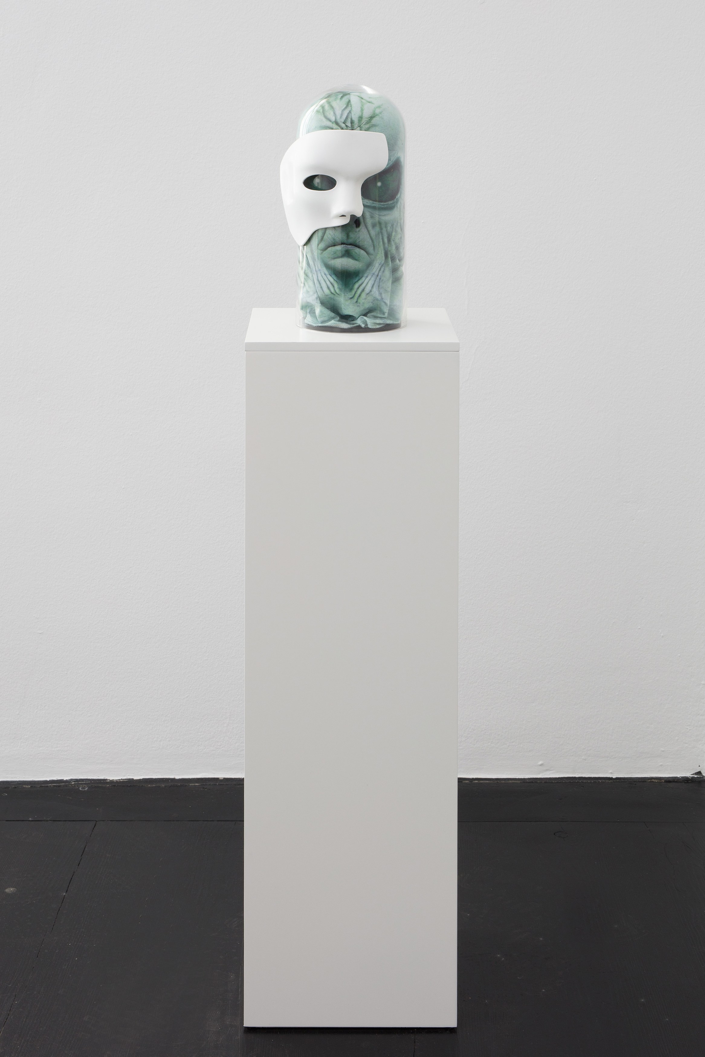 Danny McDonald, Search Parameters at Isabella Bortolozzi, photo 14