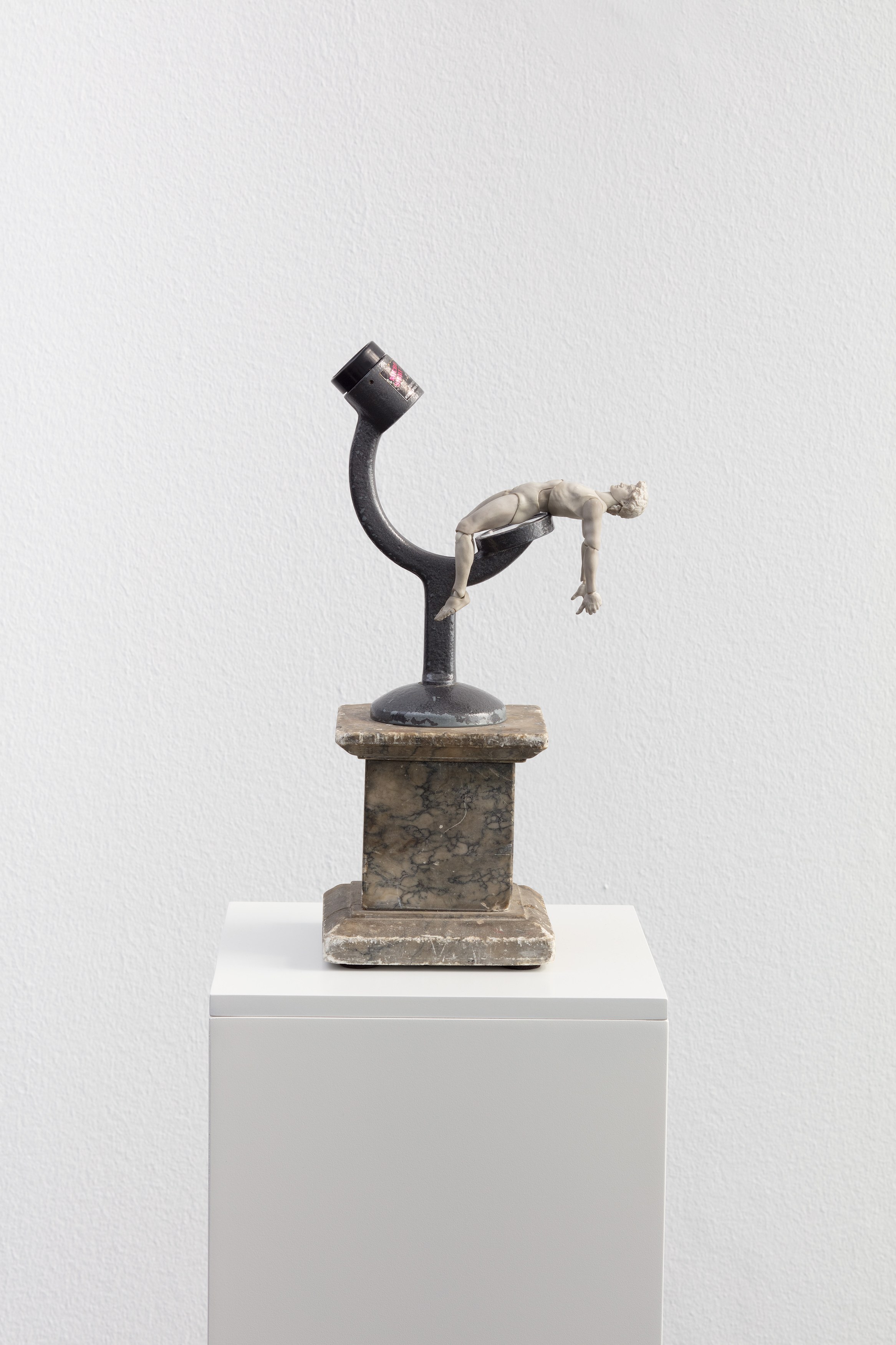 Danny McDonald, Search Parameters at Isabella Bortolozzi, photo 15