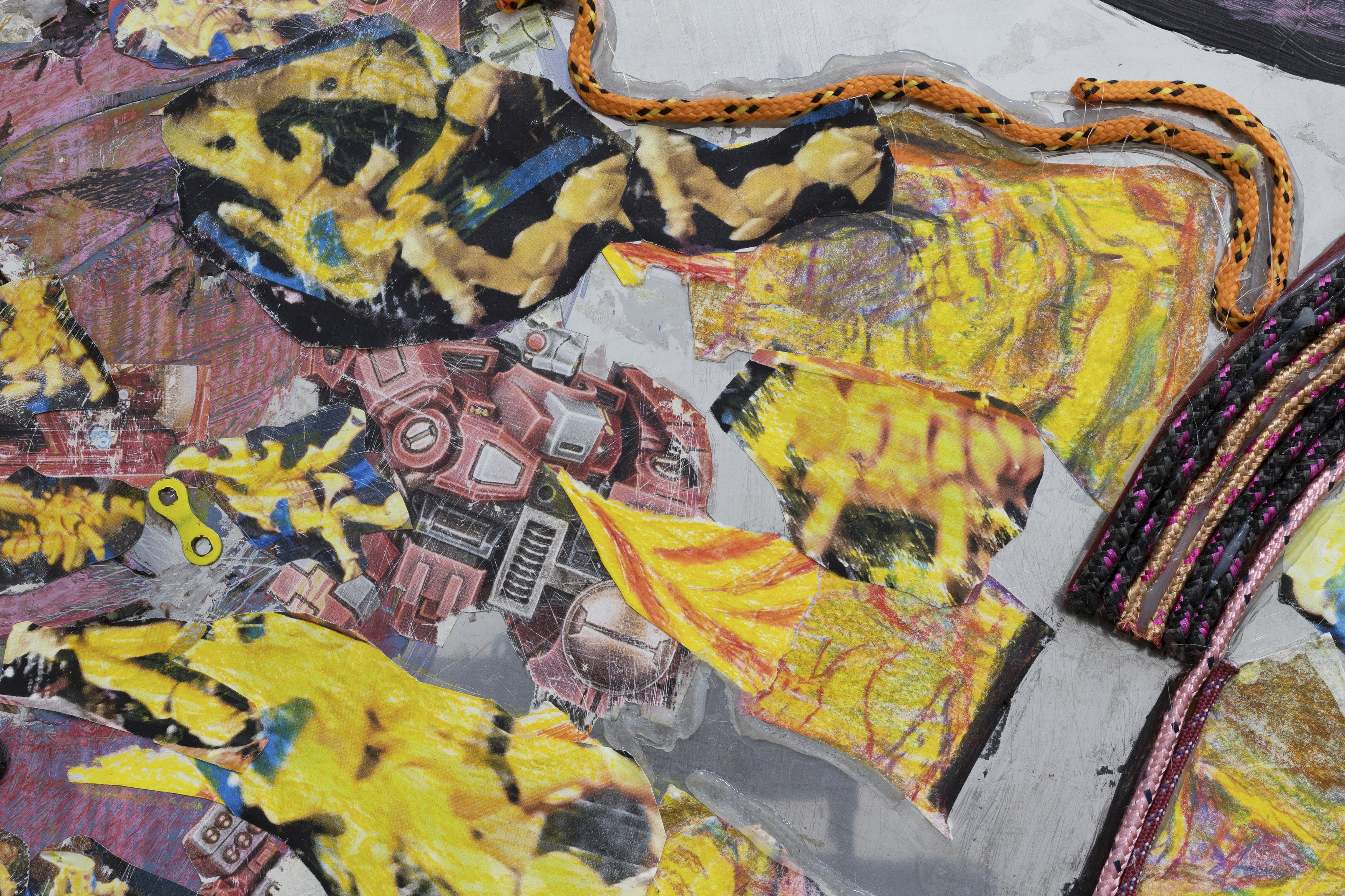 Anna Solal, image 27 of 37