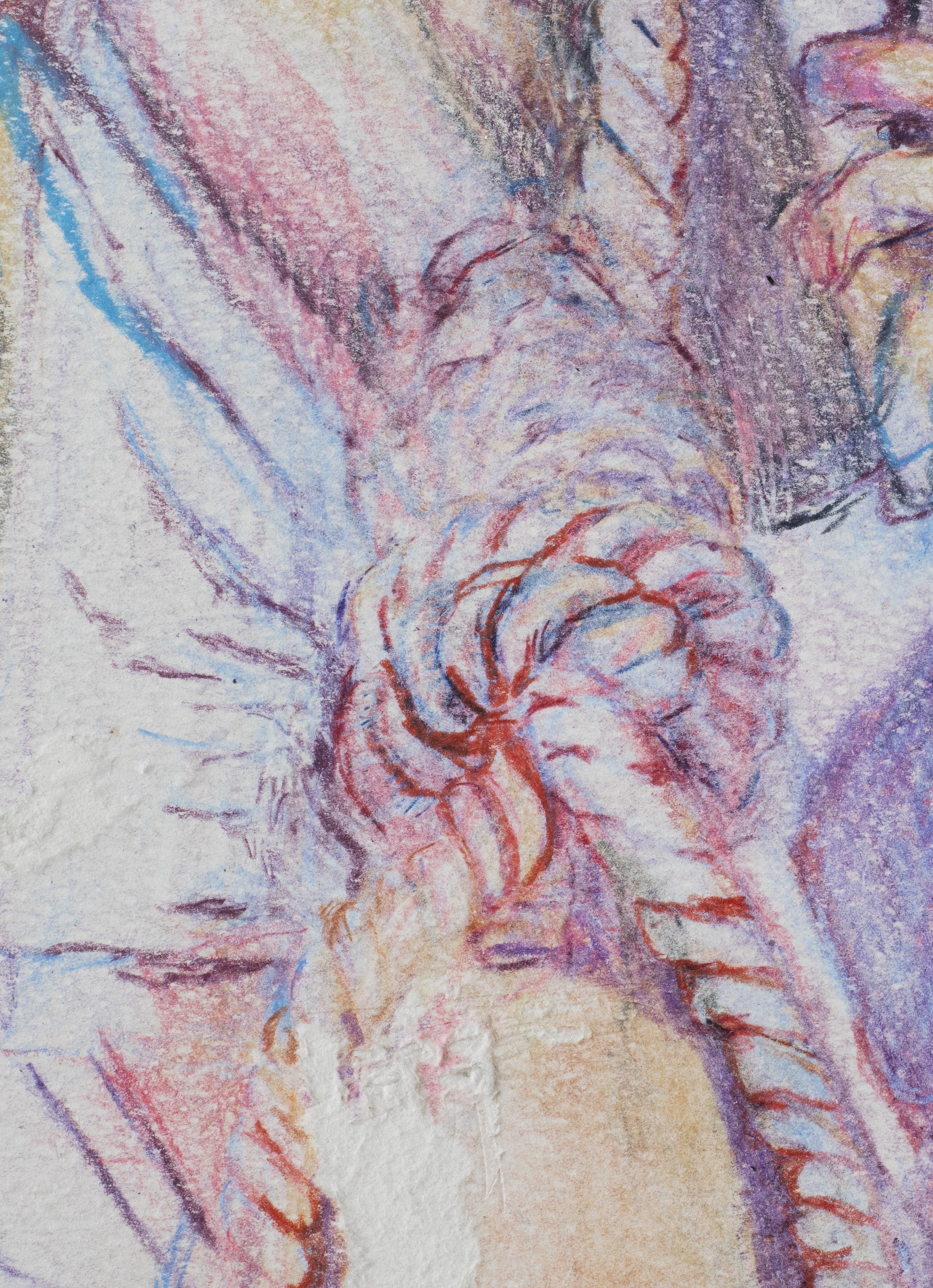 Anna Solal, image 37 of 37