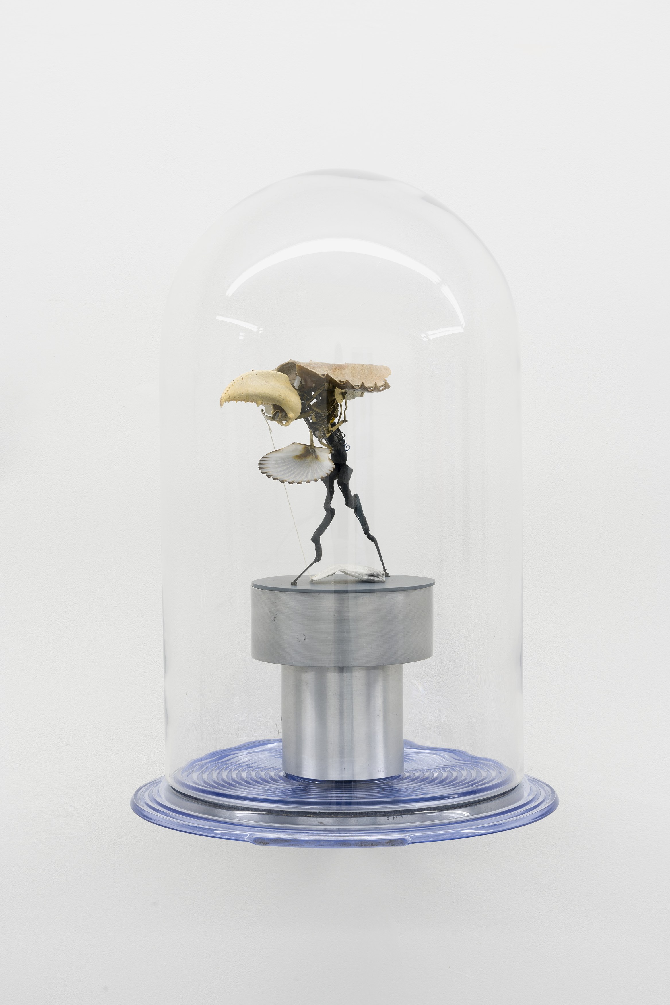 Paul Etienne Lincoln, Isabelle Frances McGuire, Timothy Lee Standring, Hannah Taurins, image 11 of 24
