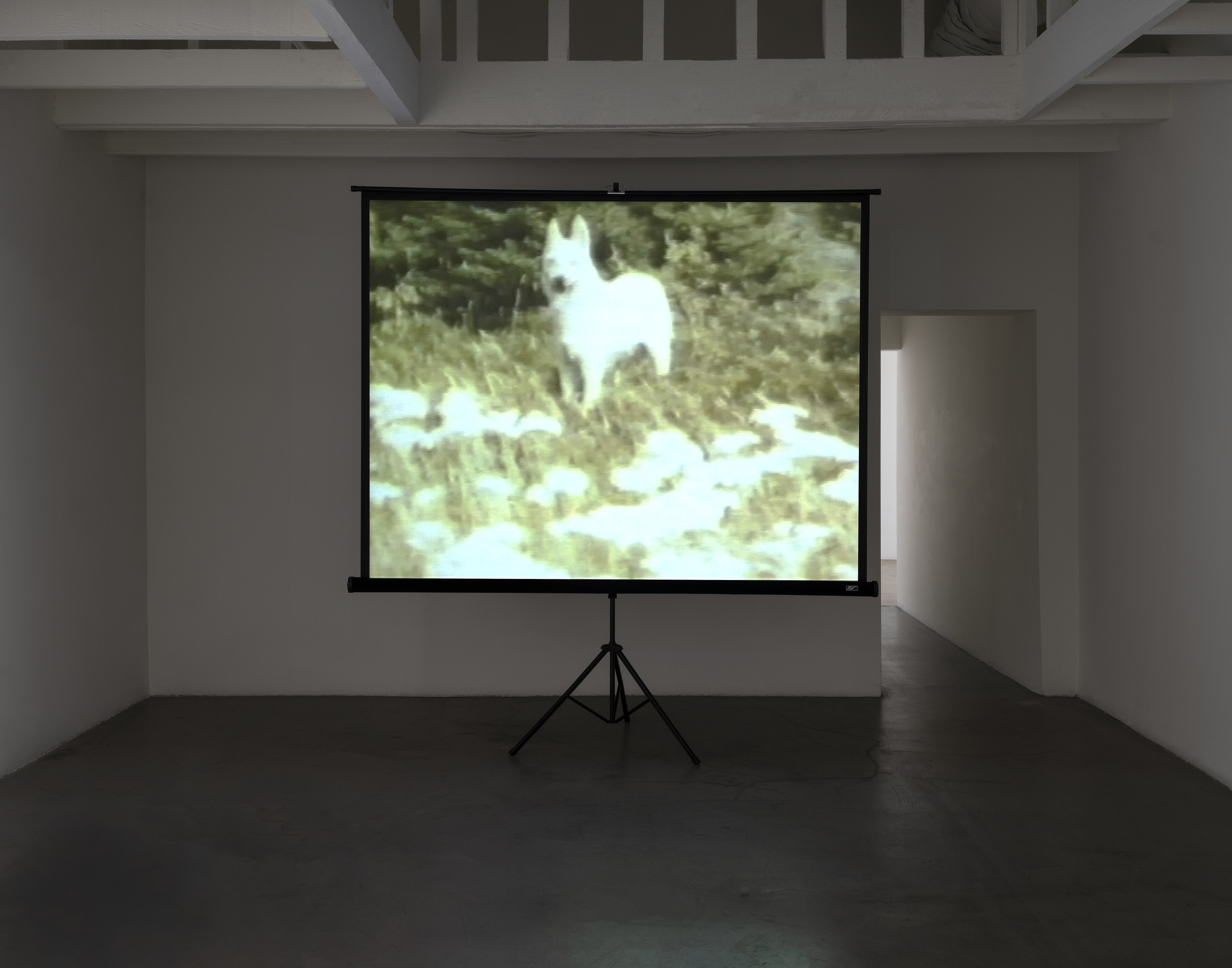 Joan Jonas, Silke Otto-Knapp, Untitled at Michael Benevento Gallery, photo 45