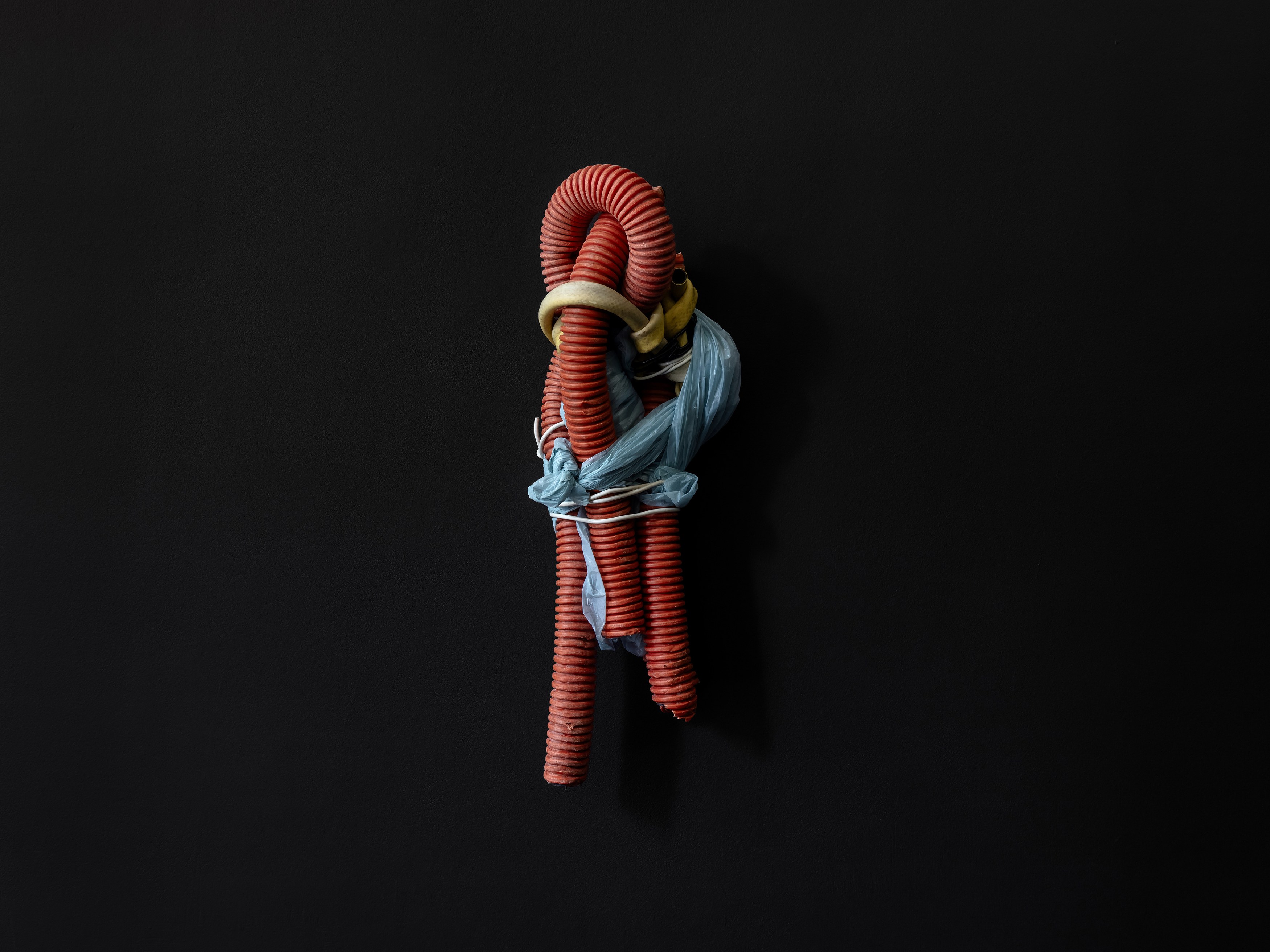 Franco Bellucci, Works (c. 2010–2018) at A. Squire, photo 5
