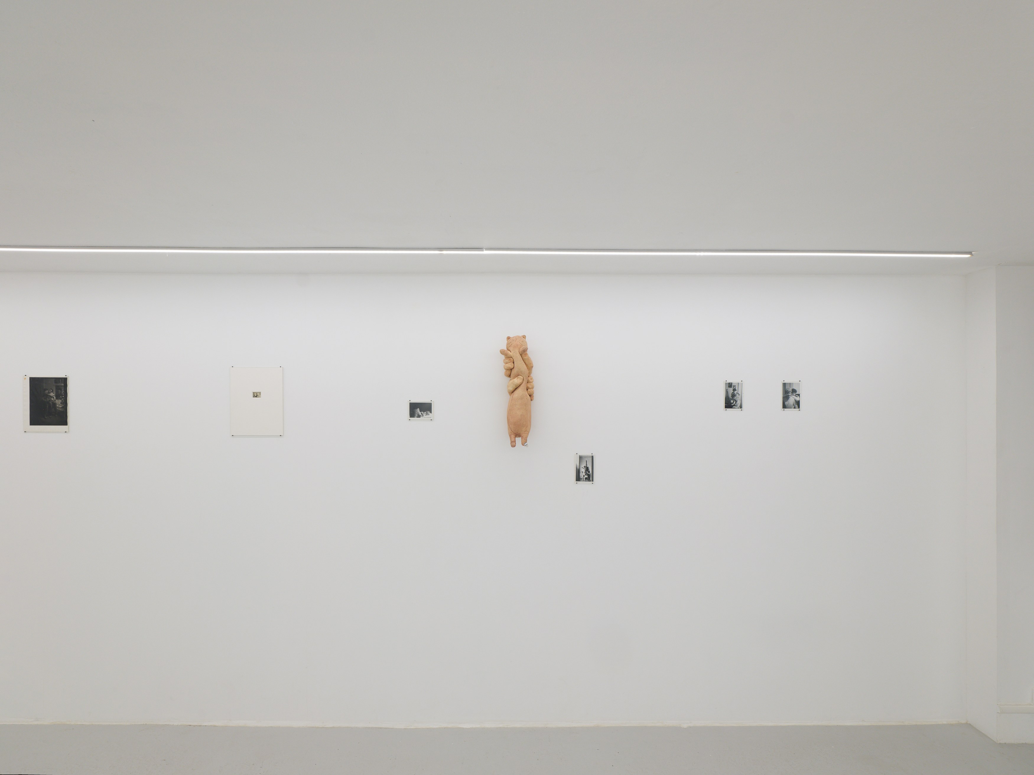 Donna Gottschalk, Liz Magor, Entre ses mains at Marcelle Alix, photo 15